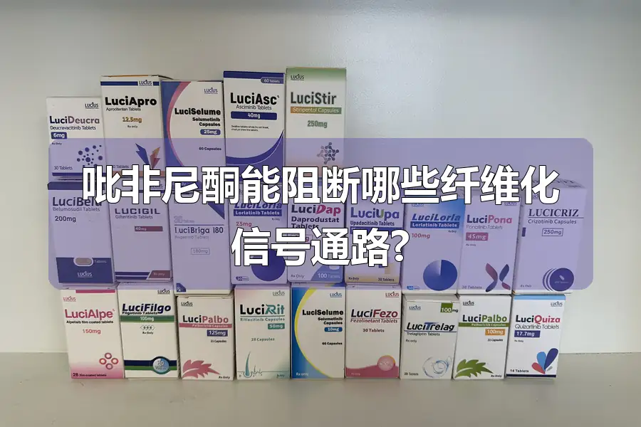 吡非尼酮能阻断哪些纤维化信号通路?
